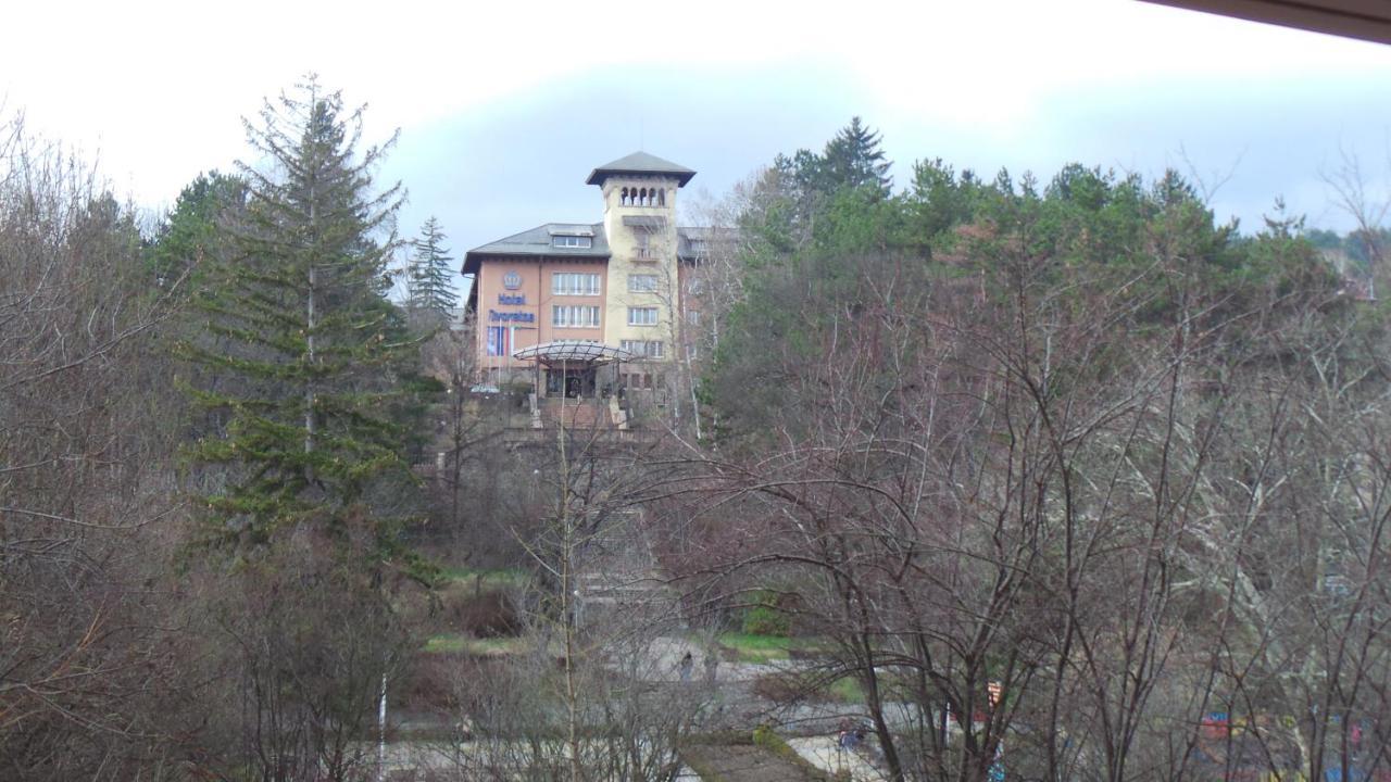 Апартамент Ренета Apartment Reneta Velingrad Esterno foto