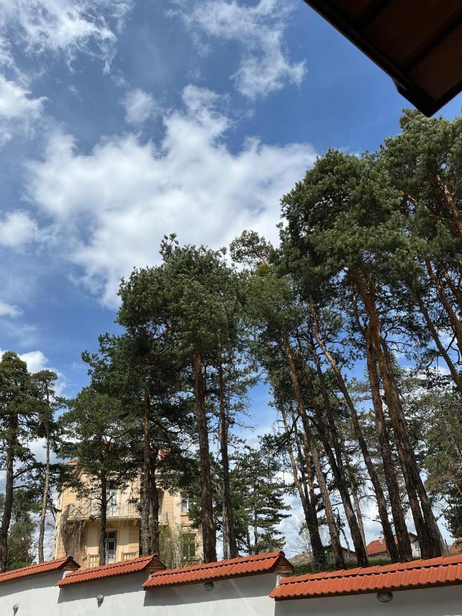 Апартамент Ренета Apartment Reneta Velingrad Esterno foto